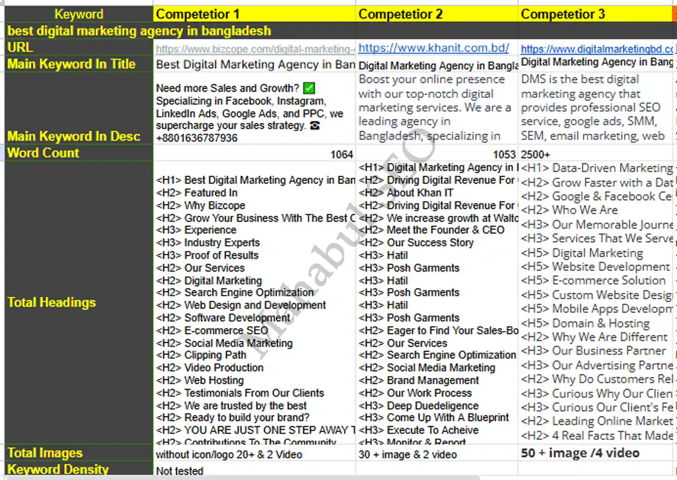 Competitor Analysis Report